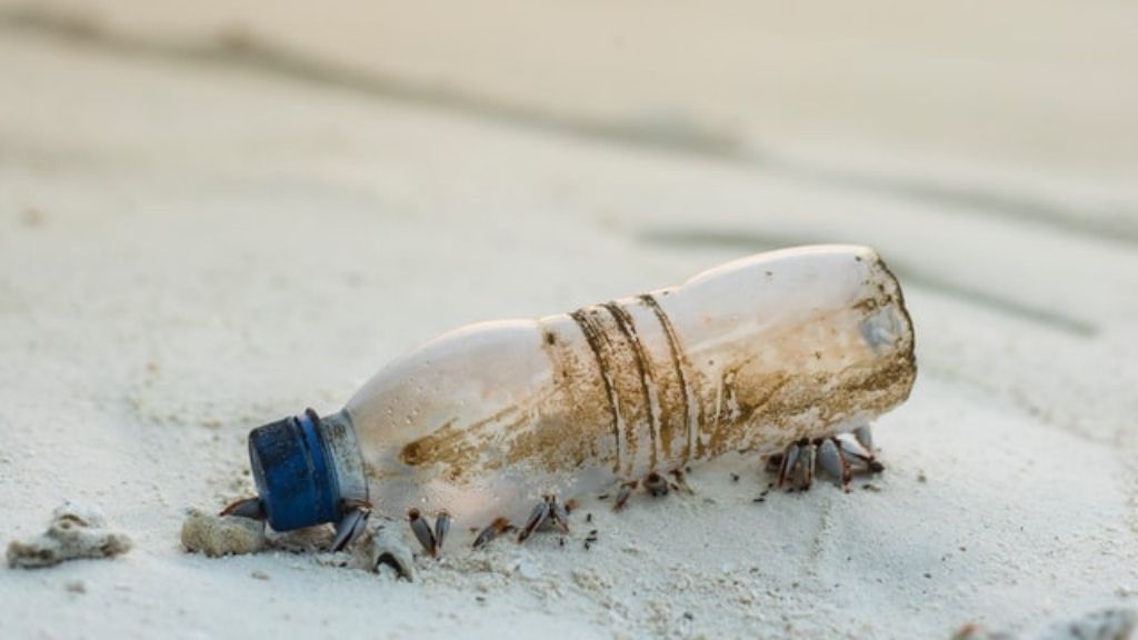 Reciclagem do Plástico: Um Dever de Todos